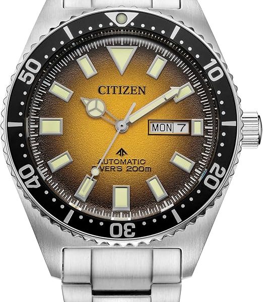 Citizen Men's Promaster Dive Automatic 3-Hand Stainless Steel Watch, Day Date, Luminous, 41mm